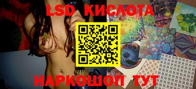 шишки Новозыбков