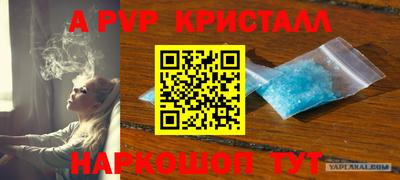 шишки Новозыбков