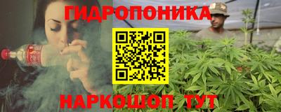 шишки Новозыбков